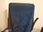 Kiran Head Shield